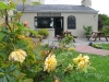 Back Garden.JPG