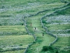 burren-green-road