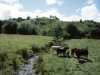 burren-valley